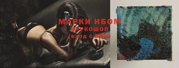 прущие грибы Абинск