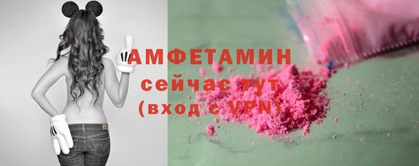 прущие грибы Абинск