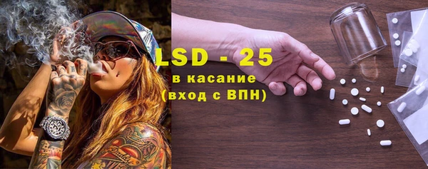 прущие грибы Абинск