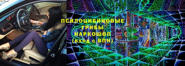 прущие грибы Абинск