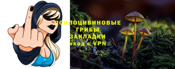 прущие грибы Абинск